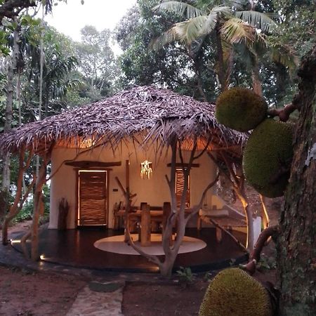 Ella Retreat Hotel Villa For Nature Lovers Bagian luar foto