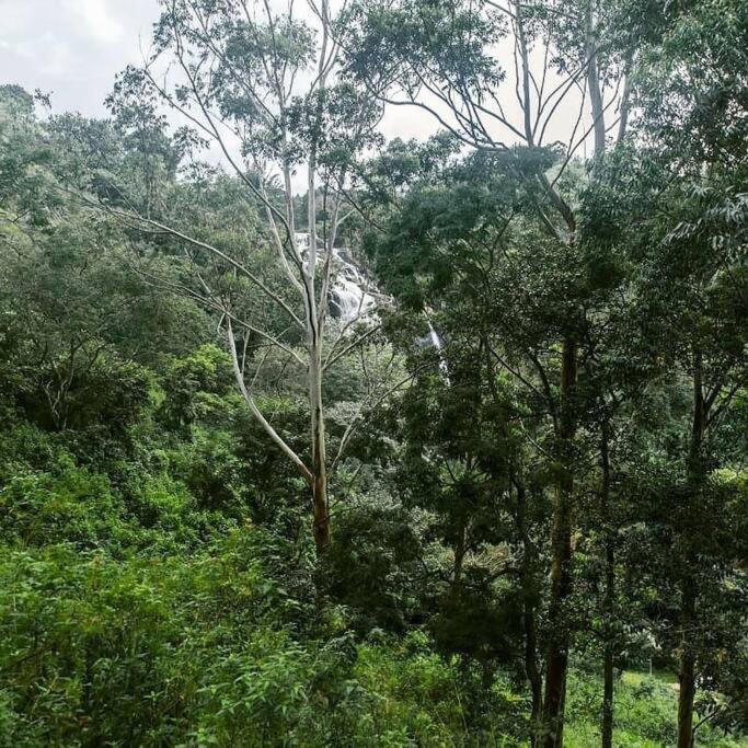 Ella Retreat Hotel Villa For Nature Lovers Bagian luar foto
